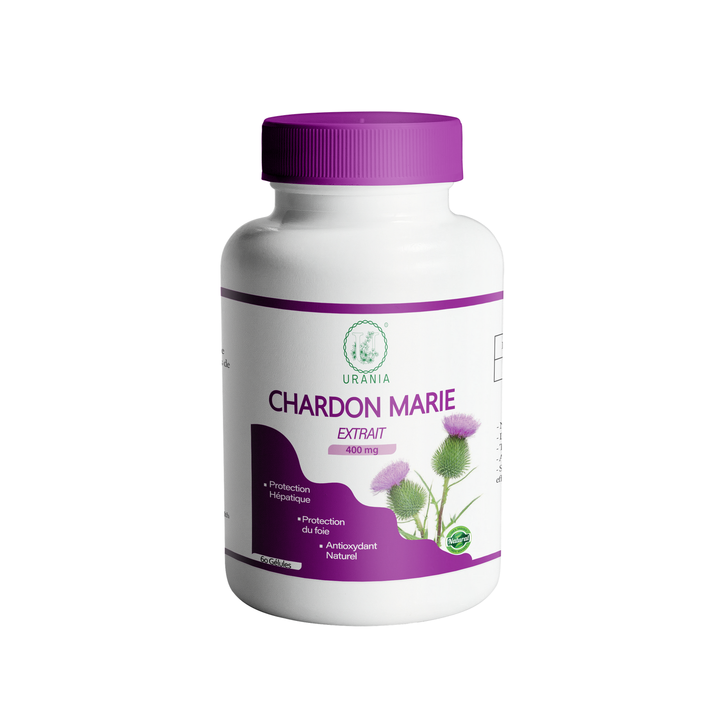 Chardon Marie